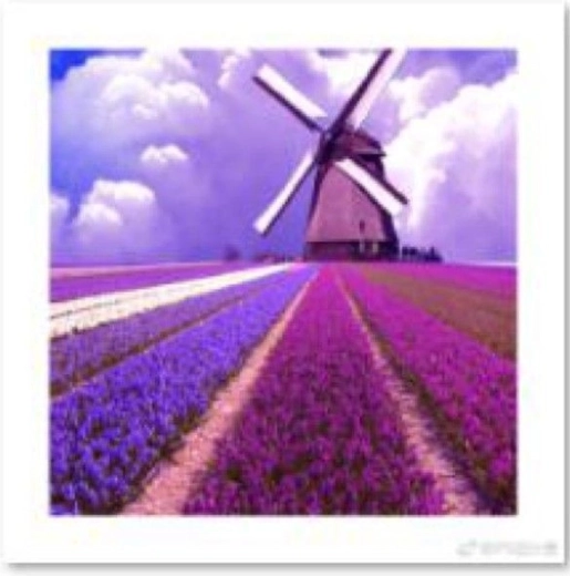 Peinture diamant – moulin à vent dans un champ de lavande 30 × 30 cm