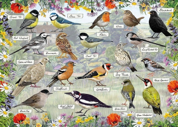 Puzzle Gibsons RSPB : Oiseaux heureux 1000 pièces