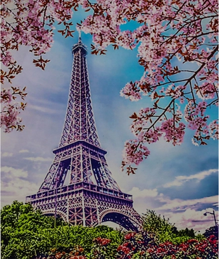 Norimpex peinture par numéros Tour Eiffel sur fond de fleurs 40 × 50 cm
