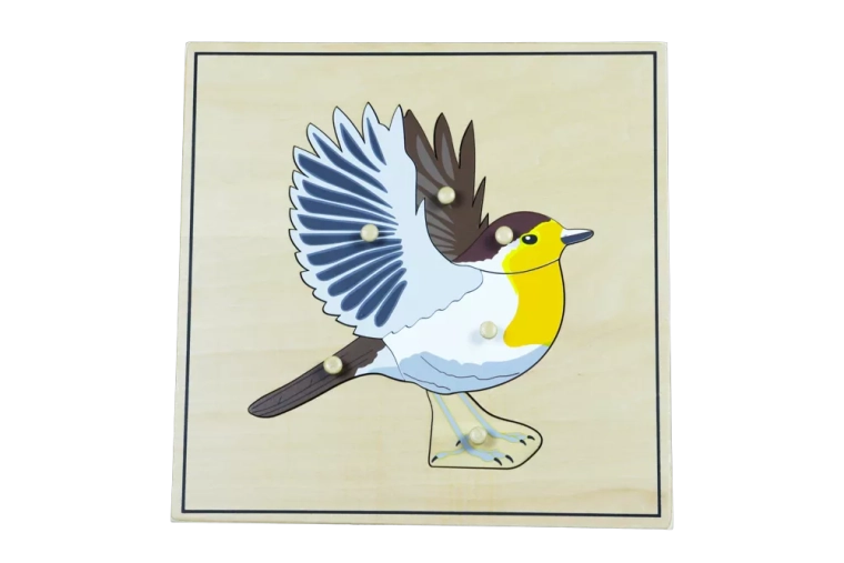 Puzzle avec motif de squelette d’oiseau
