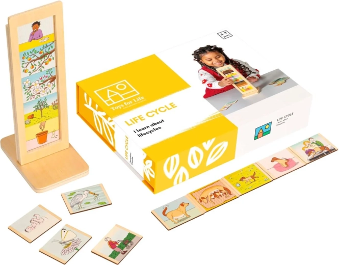 Toys for Life cycles de vie – kit éducatif avec cartes