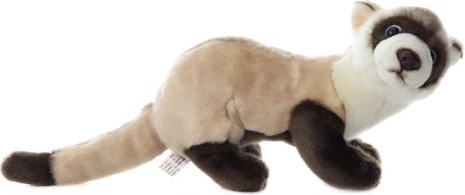 Furet en peluche 23 cm