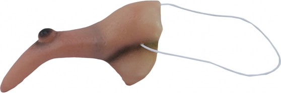 Nez de sorcière avec verrue pour Halloween