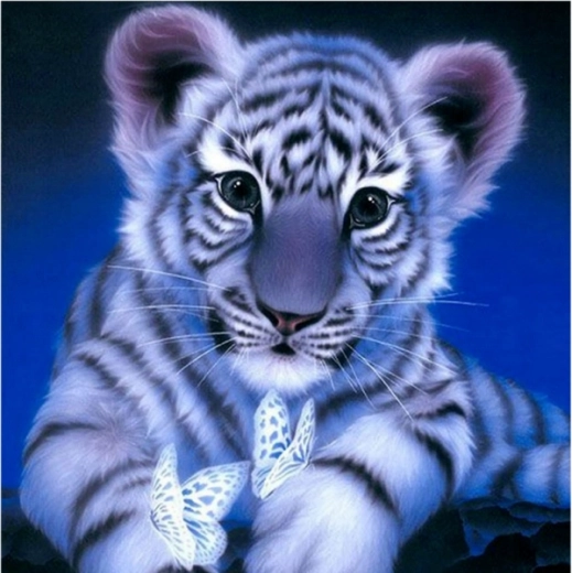 Peinture diamant – tigre des neiges 30 × 30 cm