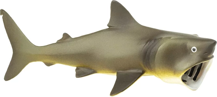 Safari Ltd. Requin pèlerin - 1 pièce
