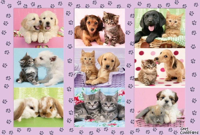 Puzzle Schmidt Mes amis animaux 100 pièces