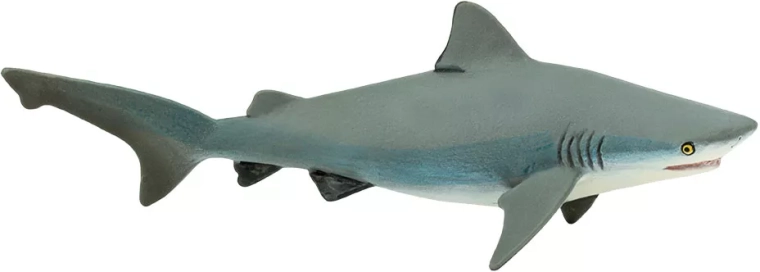 Figurine de requin bouledogue (requin bouledogue) Safari Ltd.