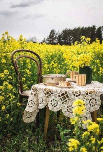Norimpex peinture diamant Café à table dans un champ de colza en fleurs 30 × 40 cm