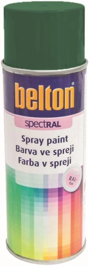 Peinture en spray BELTON RAL 6005 vert mousse 400 ml