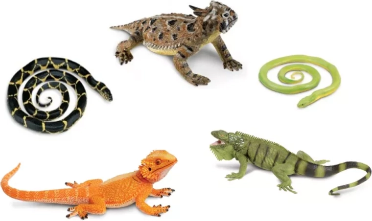 Safari Ltd. serpents et lézards – lot de 5 figurines