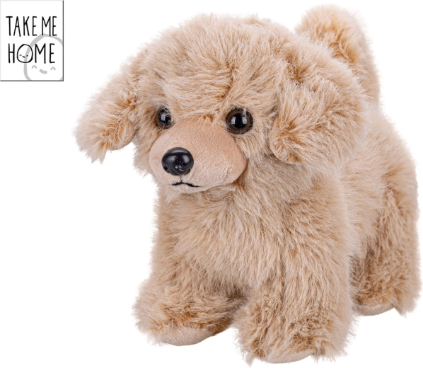 Chien en peluche Take Me Home – compagnon tout doux pour les enfants dès la naissance
