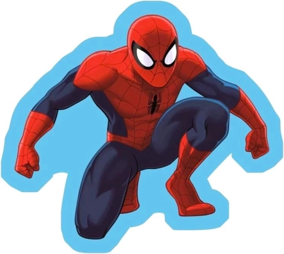 Coussin Spiderman 35 × 35 cm - 1 pièce