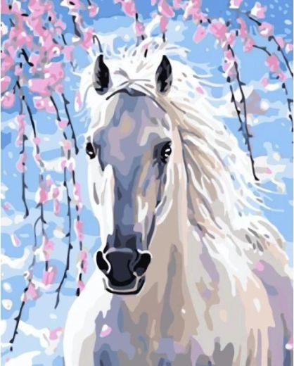 Peinture par numéros sur toile encadrée 40 × 50 cm – cheval blanc