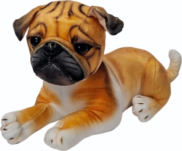 Chien carlin en peluche - 1 pièce