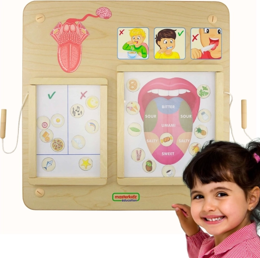 Planche éducative Montessori Masterkidz Goût