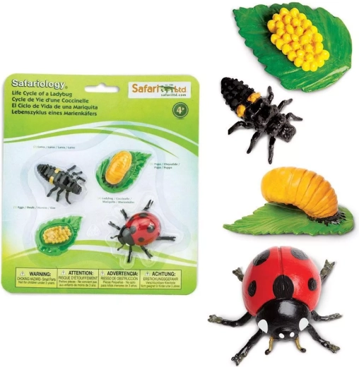 Safari Ltd. cycle de vie de la coccinelle – set de 4 figurines