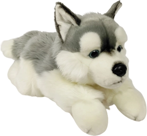 Husky en peluche 61 cm