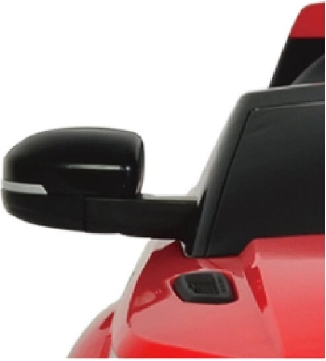 Rétroviseurs latéraux pour porteur Evoque gauche + droit - 1 pièce