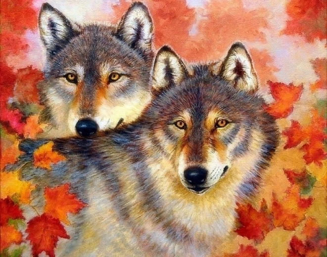 Norimpex Peinture par numéros Loup et louve 40 × 50 cm
