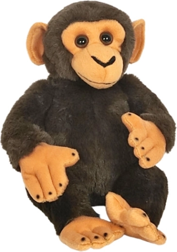Chimpanzé en peluche 22 cm