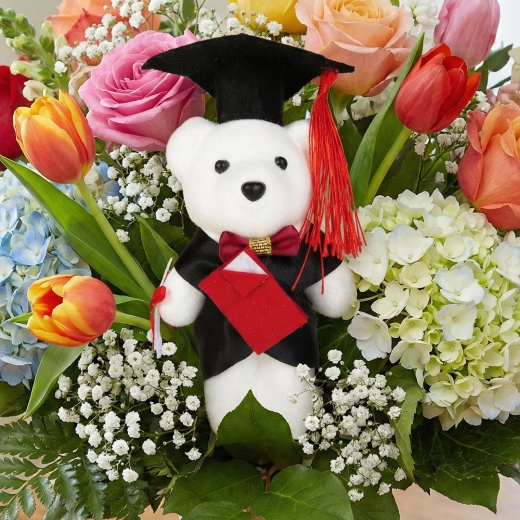 Cadeau – ourson pour diplômé de 13 cm