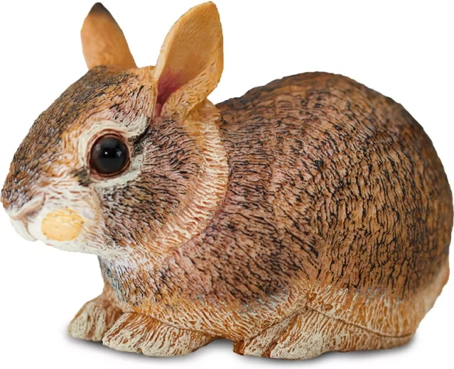 Jeune lapin à queue blanche Safari Ltd (lapin d’Amérique de l’Est)