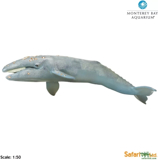 Safari Ltd. rorqual gris