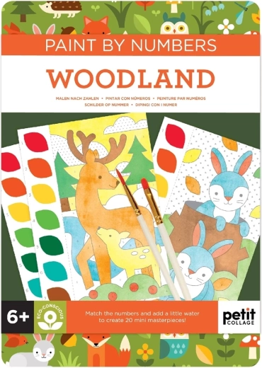 Petit Collage Peinture par numéros animaux de la forêt