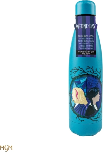 Gourde isotherme Wednesday et Edin 500 ml