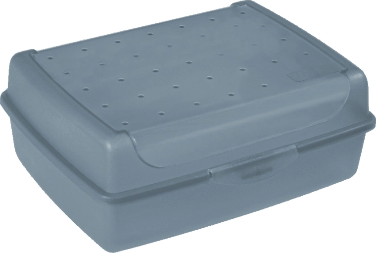 Luca Click Box MIDI – boîte en plastique avec couvercle 1 l, bleue