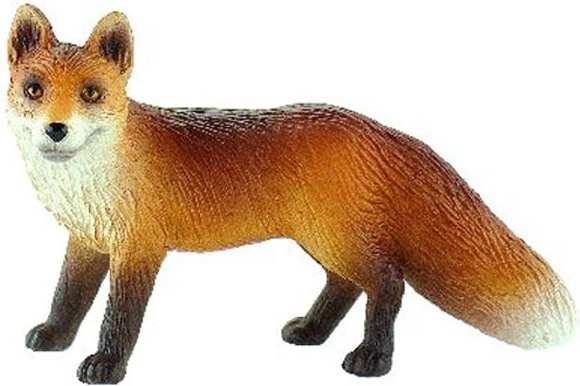 Renard