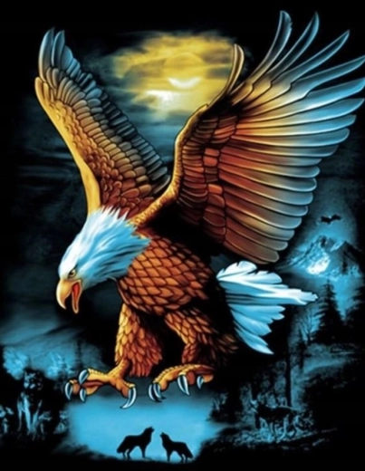 Peinture diamant Aigle à la pleine lune 30 × 40 cm