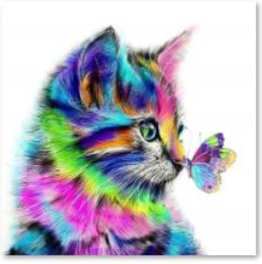 Broderie diamant (diamond painting) chaton avec papillon 30 × 30 cm