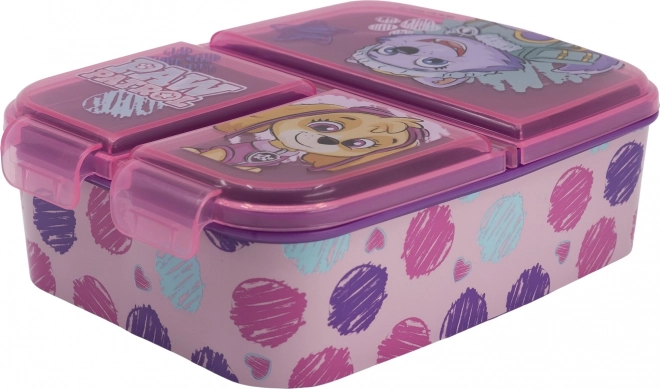 Boîte à goûter pour enfants Paw Patrol Skye