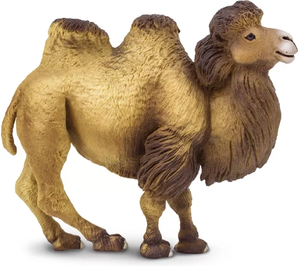 Safari Ltd. figurine de chameau de Bactriane