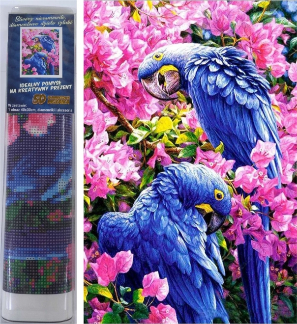 Norimpex peinture diamant perroquets bleus 30 × 40 cm