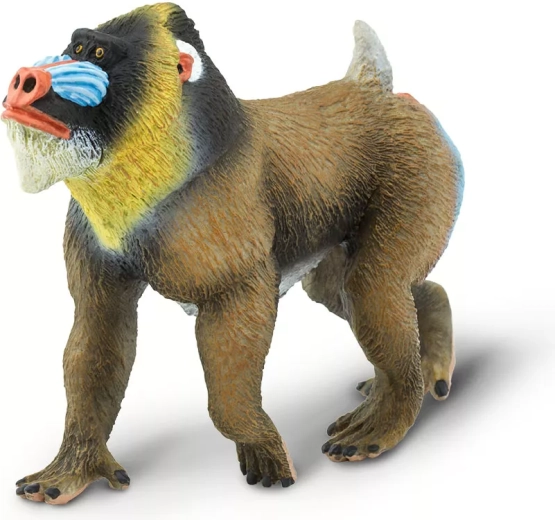 Safari Ltd. figurine de mandrill (Mandrillus sphinx)