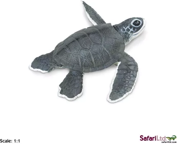 Safari Ltd. bébé tortue de mer - figurine