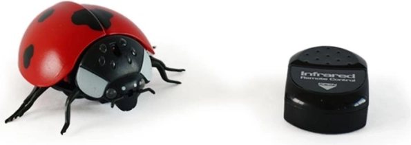Coccinelle Magana télécommandée