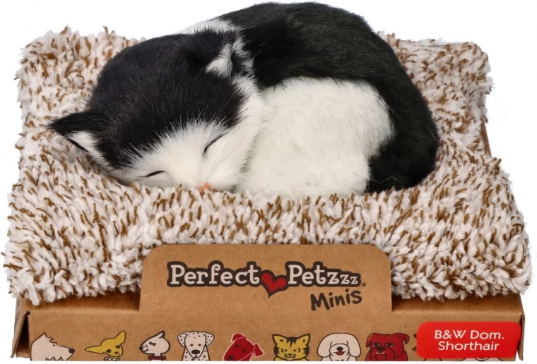 Perfect Petzzz chat noir et blanc sur coussin