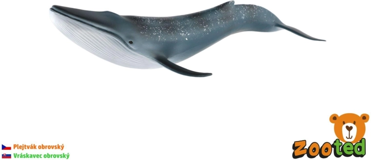 Modèle de rorqual bleu 27 cm