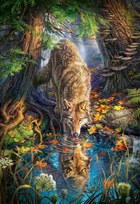 Puzzle 1500 pièces – loup