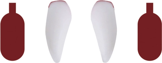 Dents de vampire avec faux sang