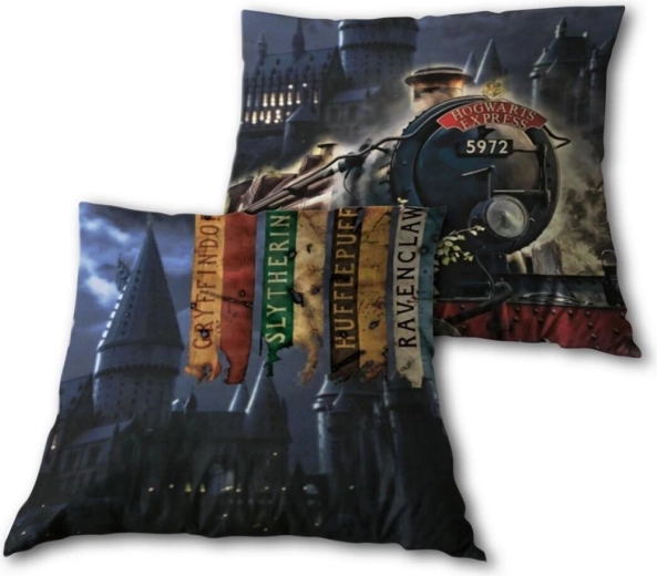 Coussin Harry Potter