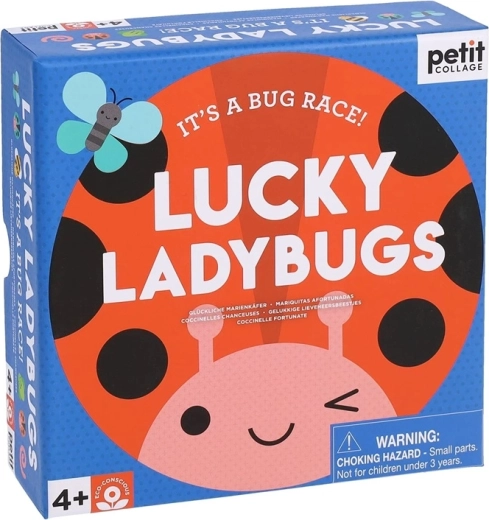 Petit Collage jeu Coccinelles chanceuses