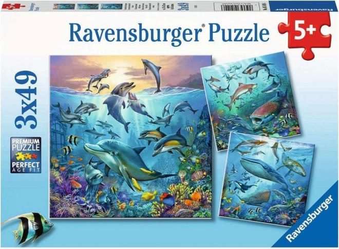 RAVENSBURGER Puzzle Animaux de l’océan 3x49 pièces