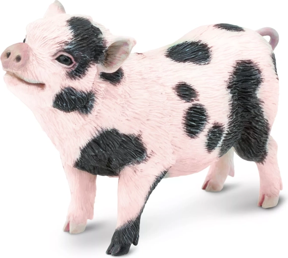 Safari Ltd. figurine de cochon vietnamien