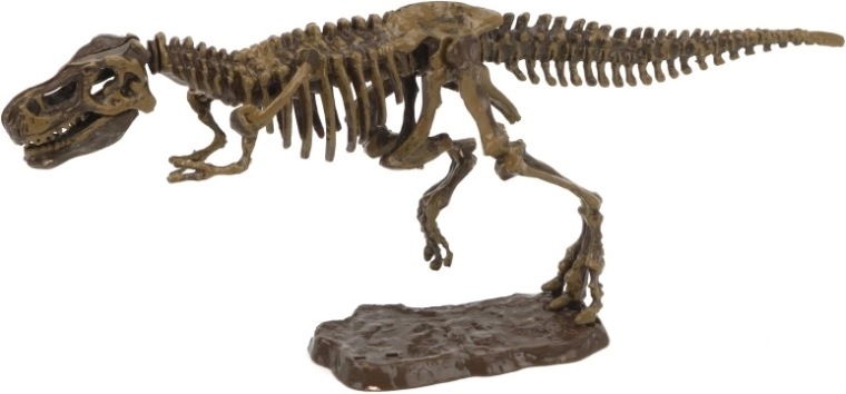 Kit archéologique 3D tyrannosaure
