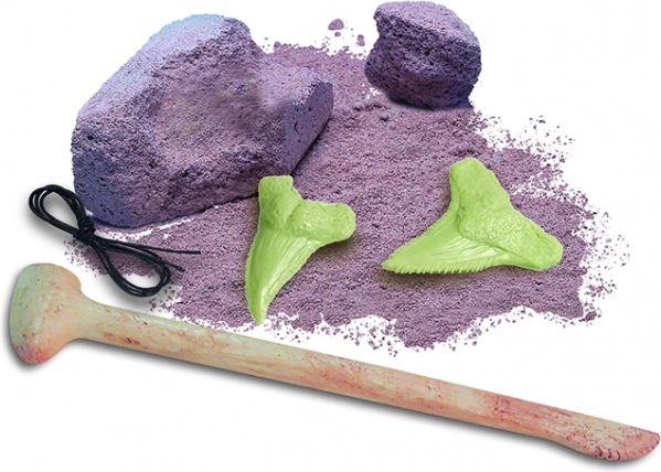 Squelette - Requin phosphorescent