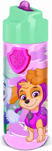 Gourde Ecozen Paw Patrol 540 ml